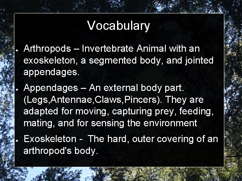 Vocabulary ● ● ● Arthropods – Invertebrate Animal with an exoskeleton, a segmented body,