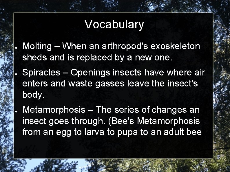 Vocabulary ● ● ● Molting – When an arthropod's exoskeleton sheds and is replaced