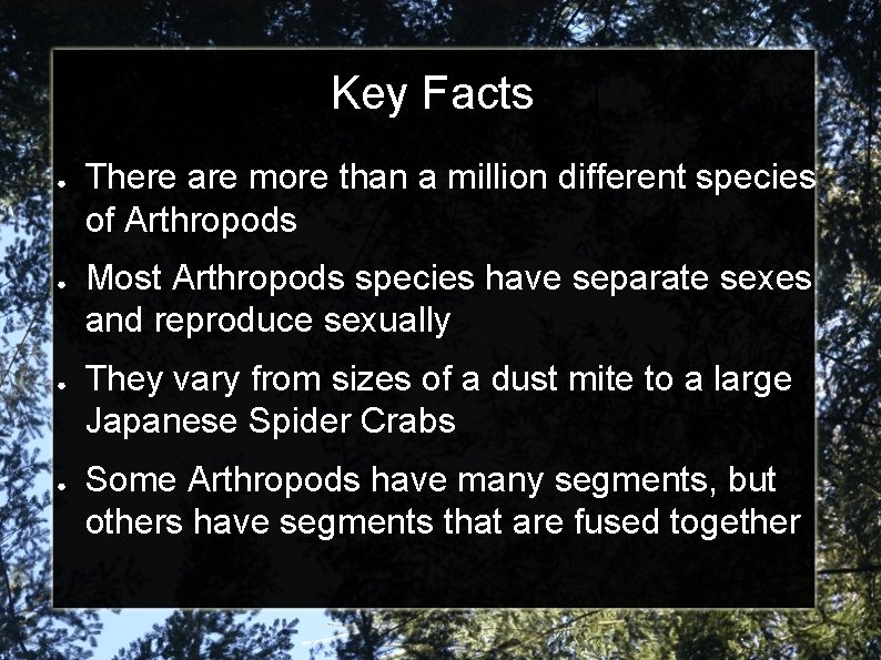 Key Facts ● ● There are more than a million different species of Arthropods