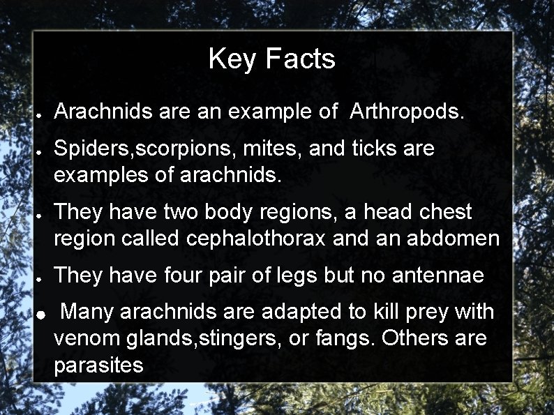 Key Facts ● ● ● Arachnids are an example of Arthropods. Spiders, scorpions, mites,