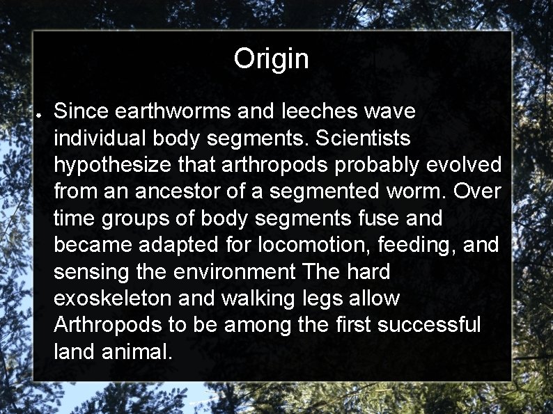 Origin ● Since earthworms and leeches wave individual body segments. Scientists hypothesize that arthropods