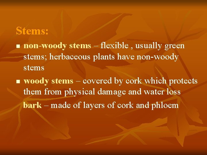 Stems: non-woody stems – flexible , usually green stems; herbaceous plants have non-woody stems