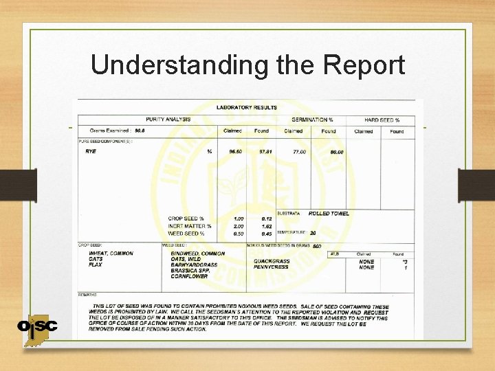 Understanding the Report 