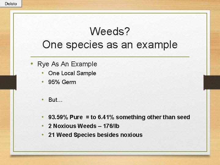 Weeds? One species as an example • Rye As An Example • One Local