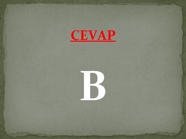 CEVAP B 