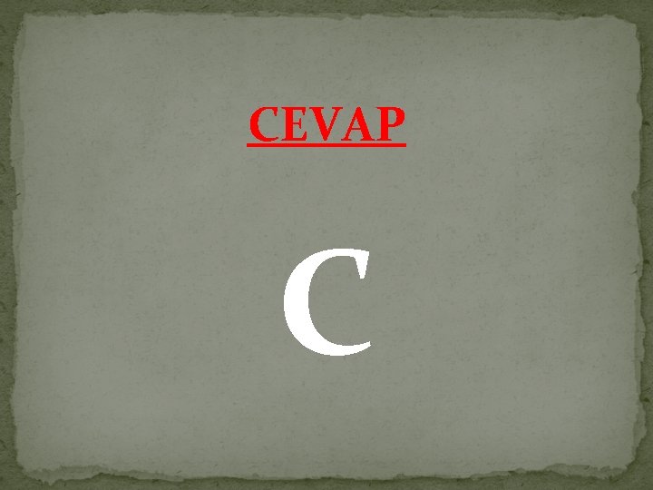 CEVAP C 