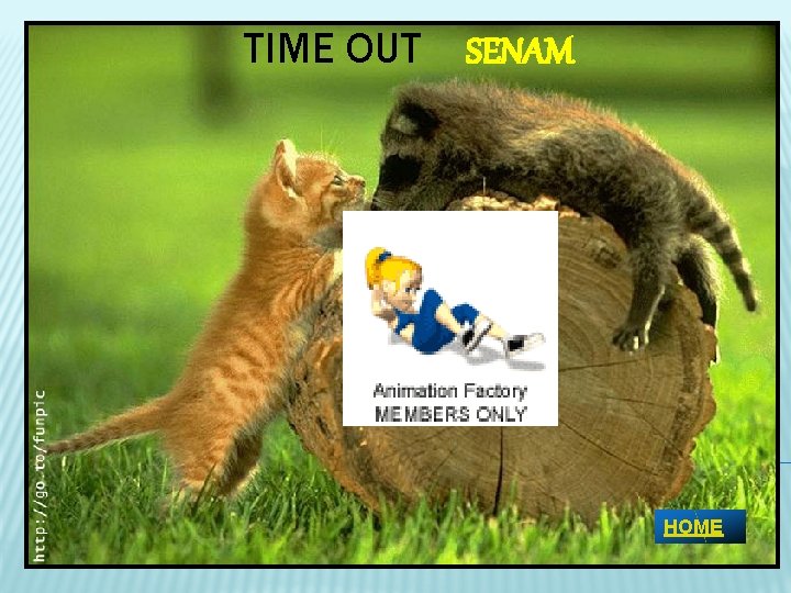 TIME OUT SENAM HOME 