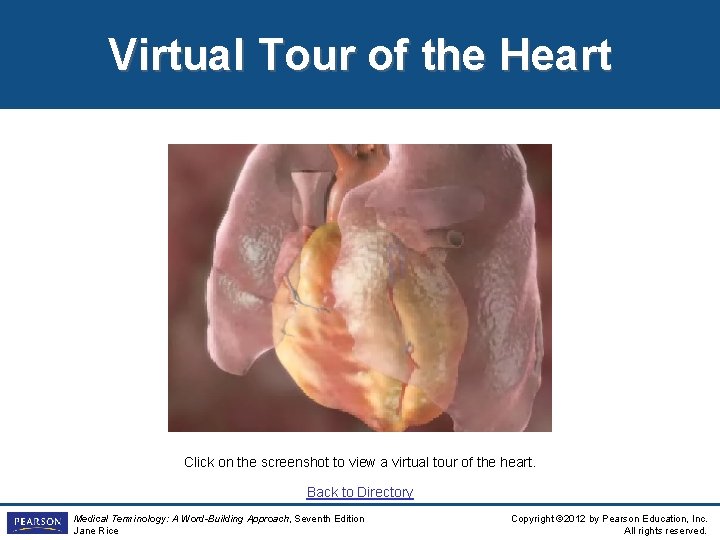 Virtual Tour of the Heart Click on the screenshot to view a virtual tour