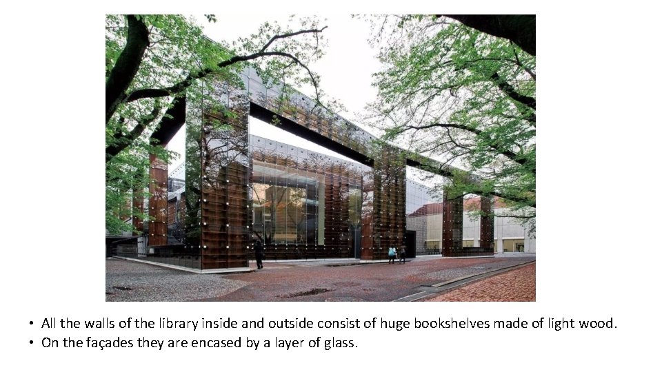  • All the walls of the library inside and outside consist of huge