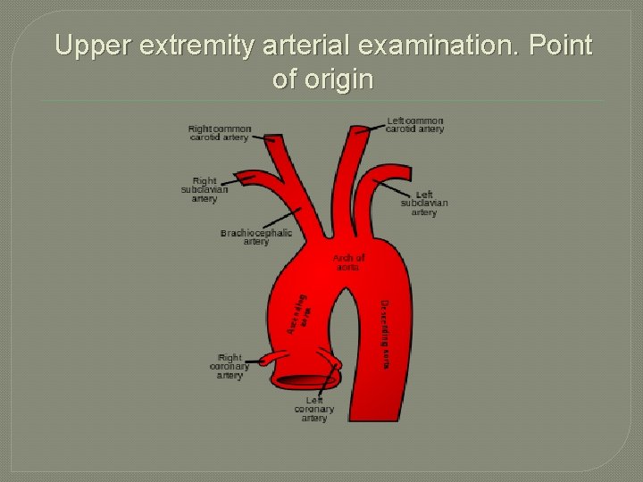 Upper extremity arterial examination. Point of origin 