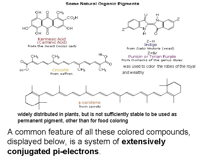 was used to color the robes of the royal and wealthy widely distributed in