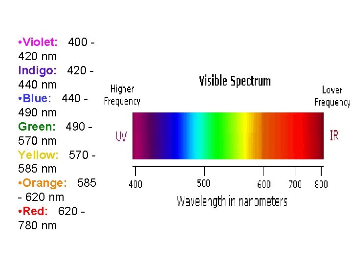  • Violet: 400 420 nm Indigo: 420 440 nm • Blue: 440 490