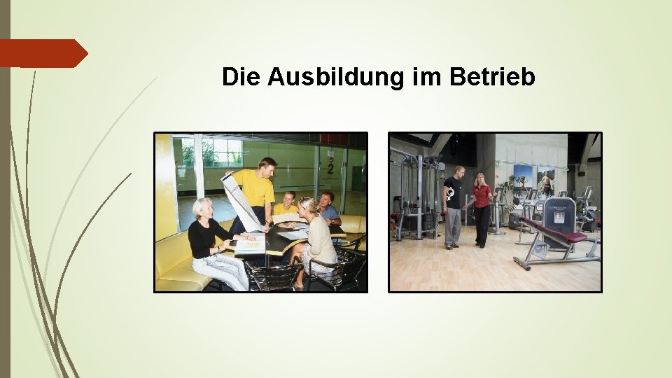 Die Ausbildung im Betrieb 