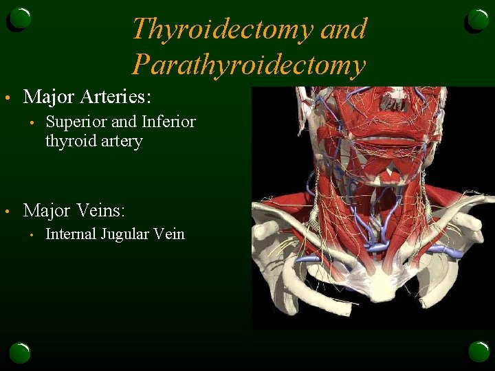 Thyroidectomy and Parathyroidectomy • Major Arteries: • • Superior and Inferior thyroid artery Major