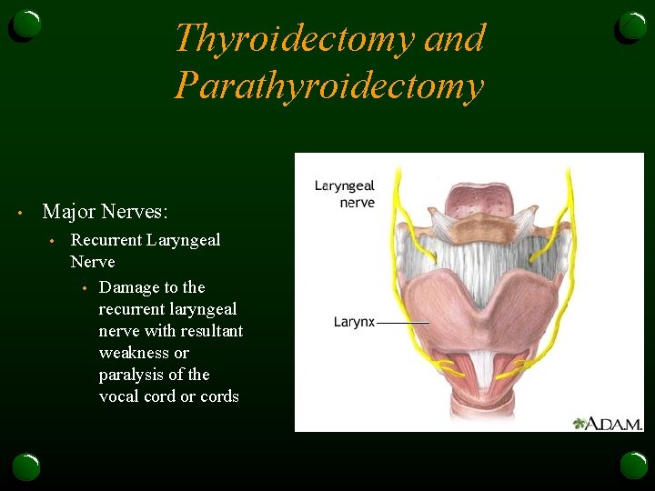 Thyroidectomy and Parathyroidectomy • Major Nerves: • Recurrent Laryngeal Nerve • Damage to the