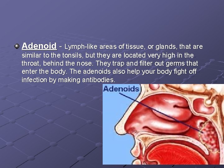 Adenoid - Lymph-like areas of tissue, or glands, that are similar to the tonsils,