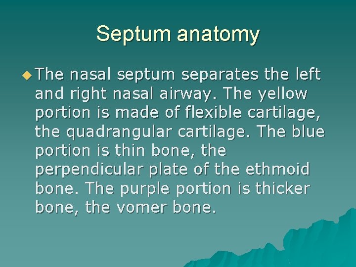 Septum anatomy u The nasal septum separates the left and right nasal airway. The