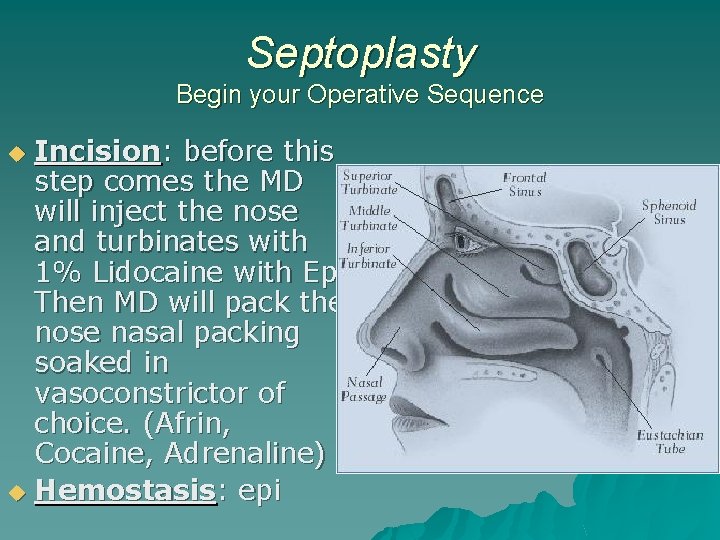 Septoplasty Begin your Operative Sequence Incision: before this step comes the MD will inject