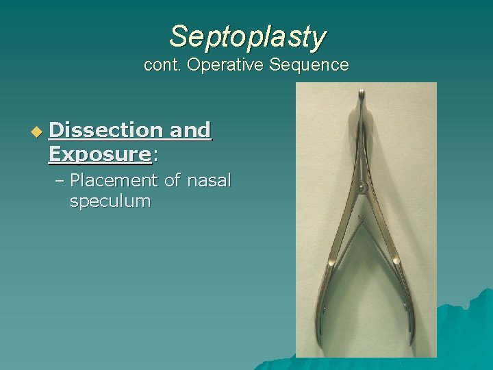 Septoplasty cont. Operative Sequence u Dissection Exposure: and – Placement of nasal speculum 
