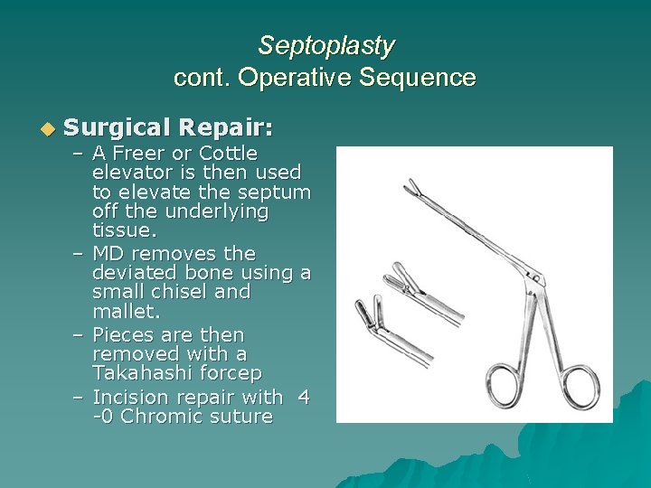 Septoplasty cont. Operative Sequence u Surgical Repair: – A Freer or Cottle elevator is