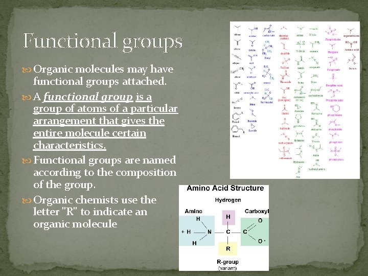 Functional groups Organic molecules may have functional groups attached. A functional group is a