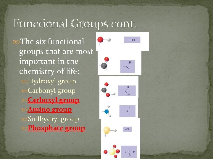 Functional Groups cont. The six functional groups that are most important in the chemistry