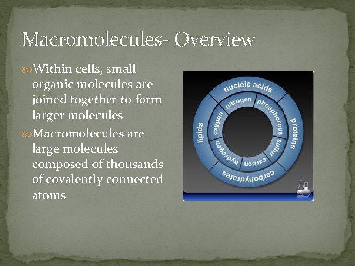 Macromolecules- Overview Within cells, small organic molecules are joined together to form larger molecules