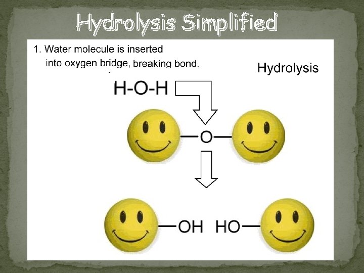Hydrolysis Simplified 