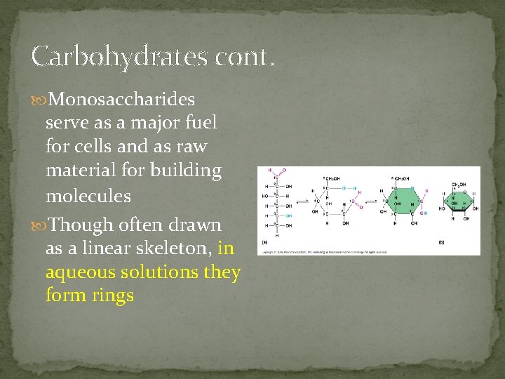 Carbohydrates cont. Monosaccharides serve as a major fuel for cells and as raw material