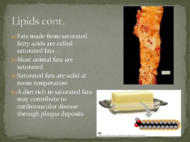 Lipids cont. Fats made from saturated fatty acids are called saturated fats Most animal