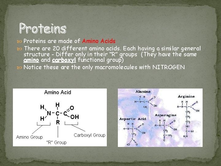 Proteins are made of Amino Acids There are 20 different amino acids. Each having