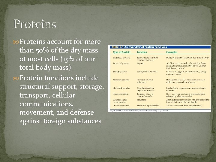 Proteins account for more than 50% of the dry mass of most cells (15%