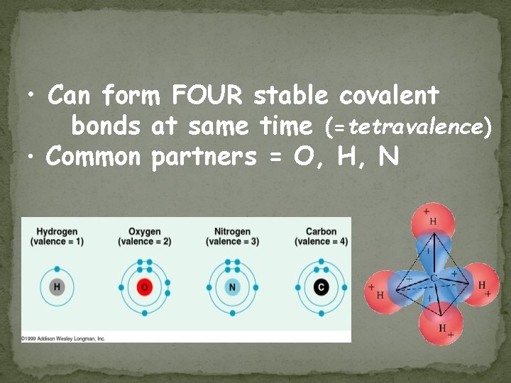  • Can form FOUR stable covalent bonds at same time (=tetravalence) • Common