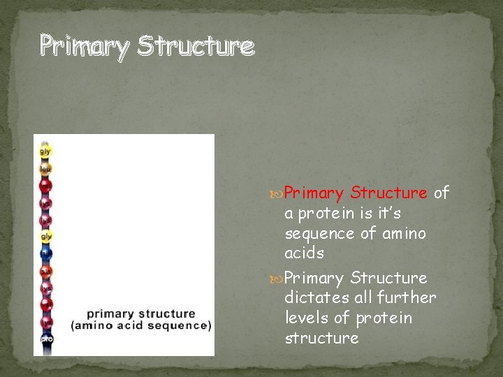 Primary Structure of a protein is it’s sequence of amino acids Primary Structure dictates