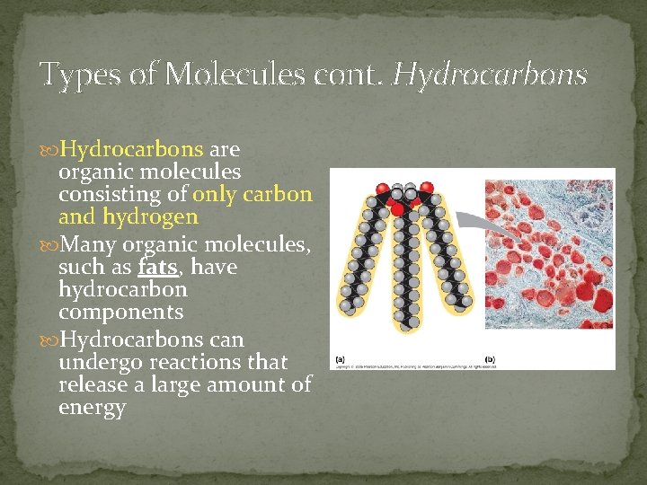 Types of Molecules cont. Hydrocarbons are organic molecules consisting of only carbon and hydrogen