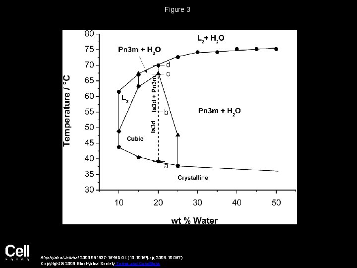 Figure 3 Biophysical Journal 2009 961537 -1546 DOI: (10. 1016/j. bpj. 2008. 10. 057)