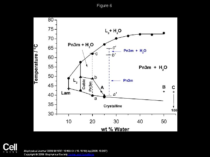 Figure 6 Biophysical Journal 2009 961537 -1546 DOI: (10. 1016/j. bpj. 2008. 10. 057)