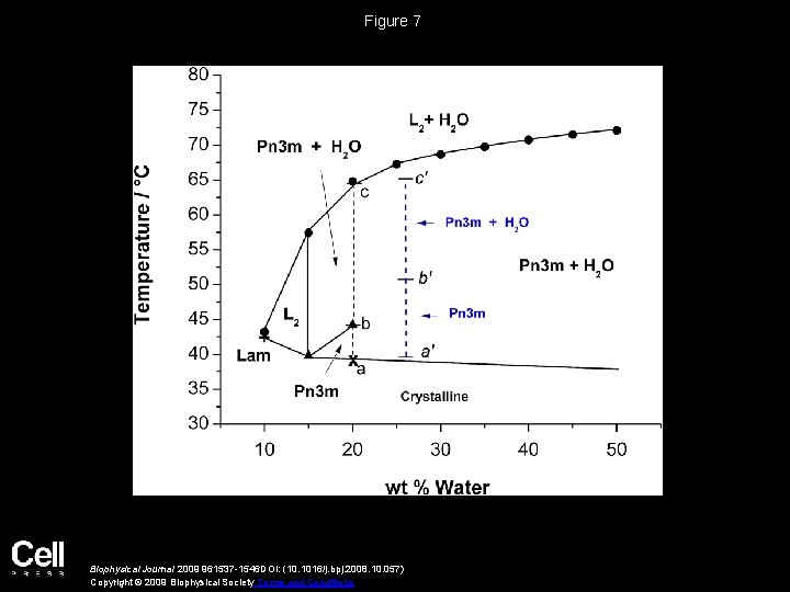 Figure 7 Biophysical Journal 2009 961537 -1546 DOI: (10. 1016/j. bpj. 2008. 10. 057)