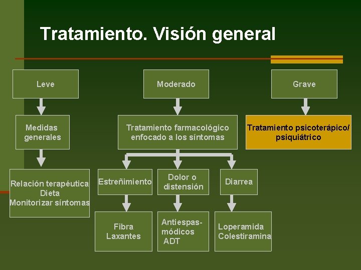 Tratamiento. Visión general Leve Medidas generales Relación terapéutica Dieta Monitorizar síntomas Moderado Grave Tratamiento