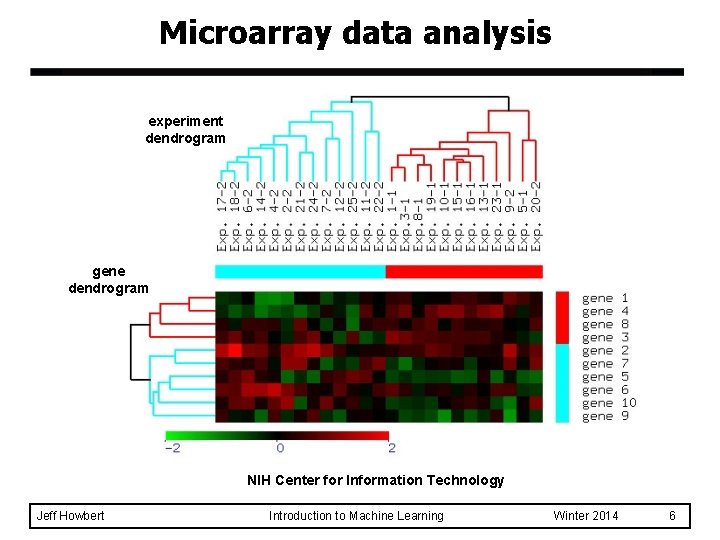 Microarray data analysis experiment dendrogram gene dendrogram NIH Center for Information Technology Jeff Howbert Microarray data analysis experiment dendrogram gene dendrogram NIH Center for Information Technology Jeff Howbert