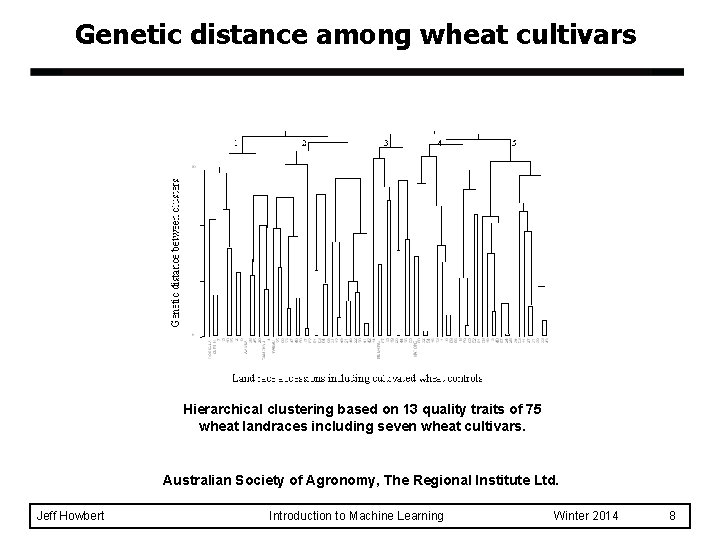 Genetic distance among wheat cultivars Hierarchical clustering based on 13 quality traits of 75 Genetic distance among wheat cultivars Hierarchical clustering based on 13 quality traits of 75