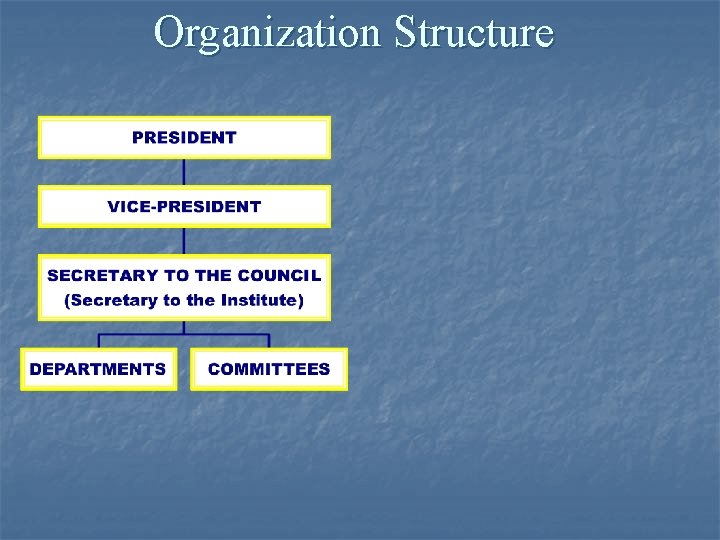 Organization Structure 