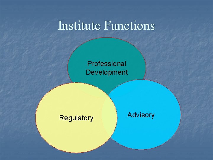 Institute Functions Professional Development Regulatory Advisory 