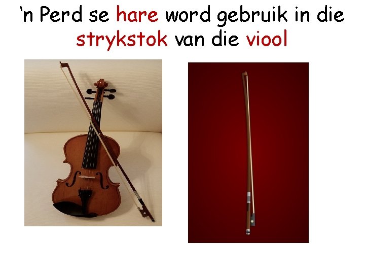‘n Perd se hare word gebruik in die strykstok van die viool 