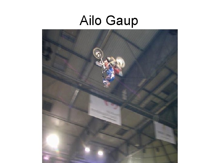 Ailo Gaup 