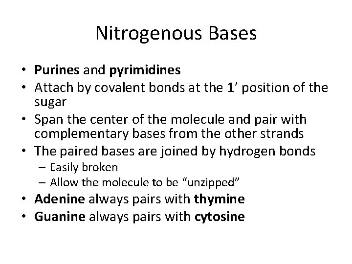 Nitrogenous Bases • Purines and pyrimidines • Attach by covalent bonds at the 1’