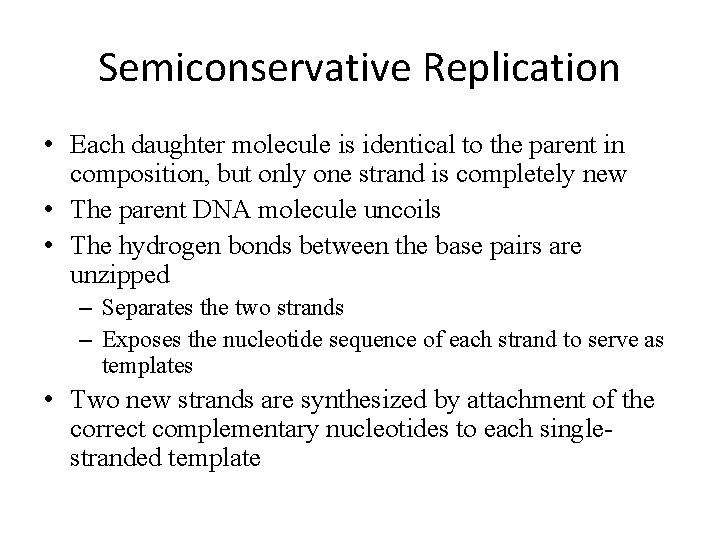 Semiconservative Replication • Each daughter molecule is identical to the parent in composition, but