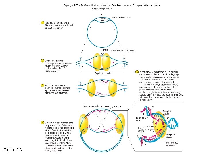 Figure 9. 6 