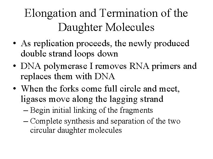 Elongation and Termination of the Daughter Molecules • As replication proceeds, the newly produced