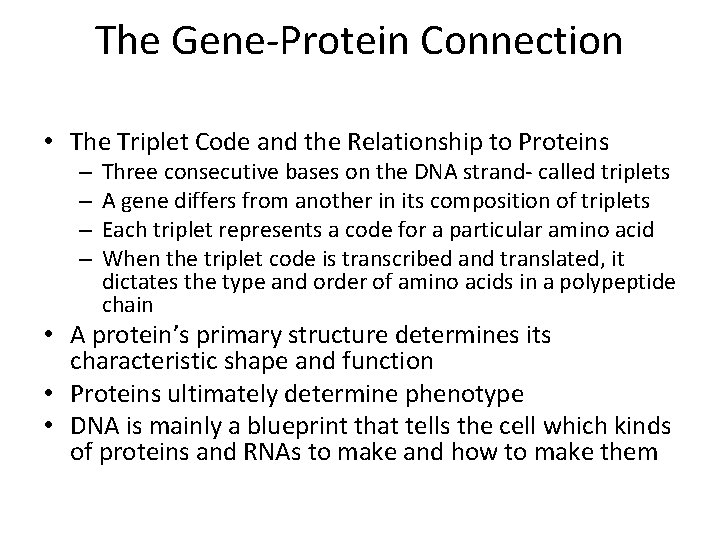 The Gene-Protein Connection • The Triplet Code and the Relationship to Proteins – –